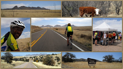 Desert Camp Week 6