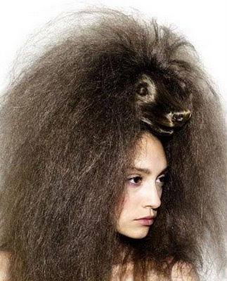 Strange Hairstyles Strange Hairstyles