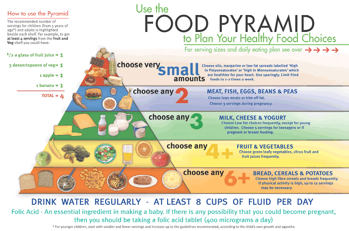 Healthy+food+pyramid+australia