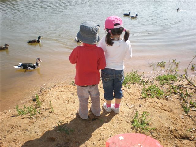 [2009_031511-21-20080040.JPG]
