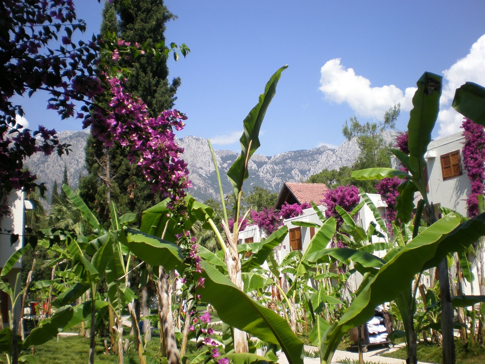 [2009_062311-21-20080003.JPG]