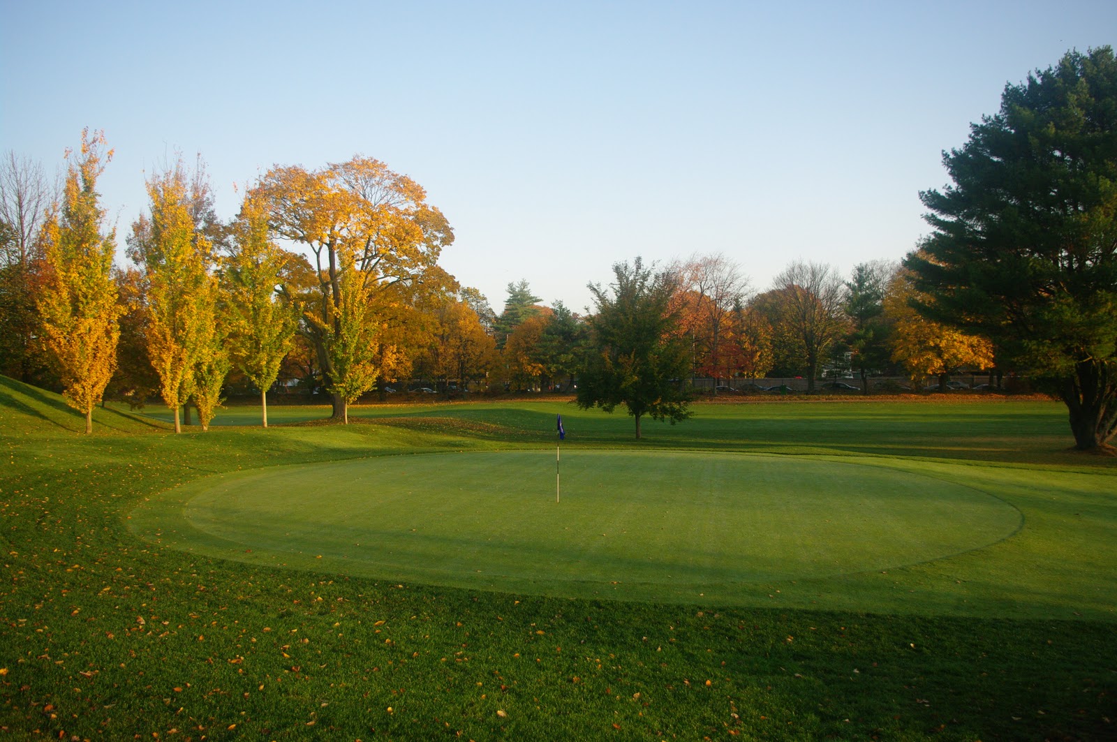 How Long Do Golf Greens Last? XGD Systems