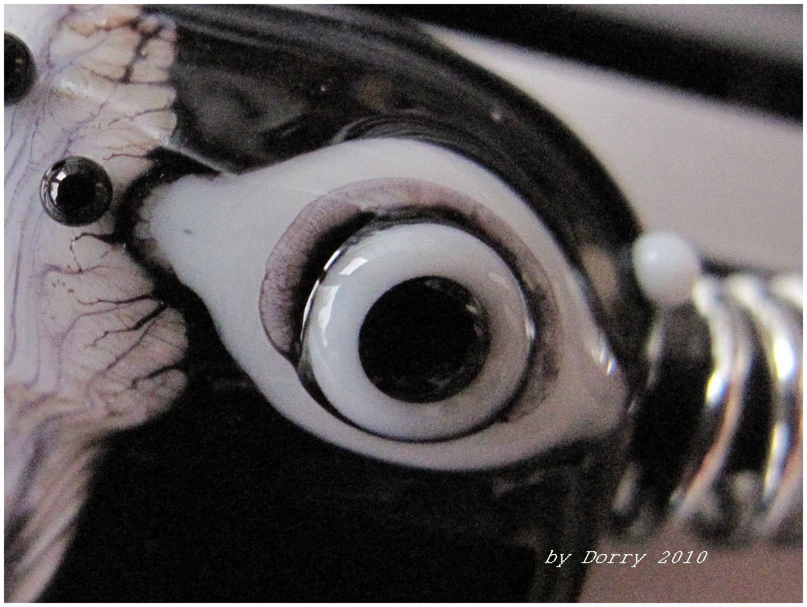 [IMG_2424extrait+perle.jpg]