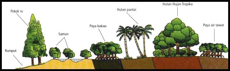 Geografi Fizikal dan Manusia Tingkatan 1 Faktorfaktor Yang