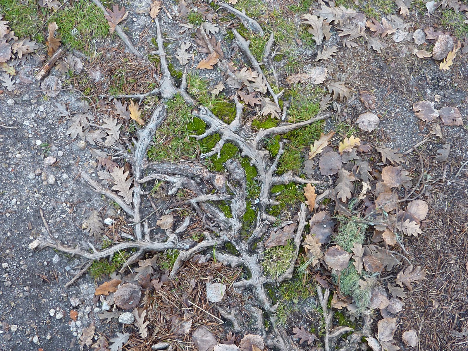 [P1000623.JPG]