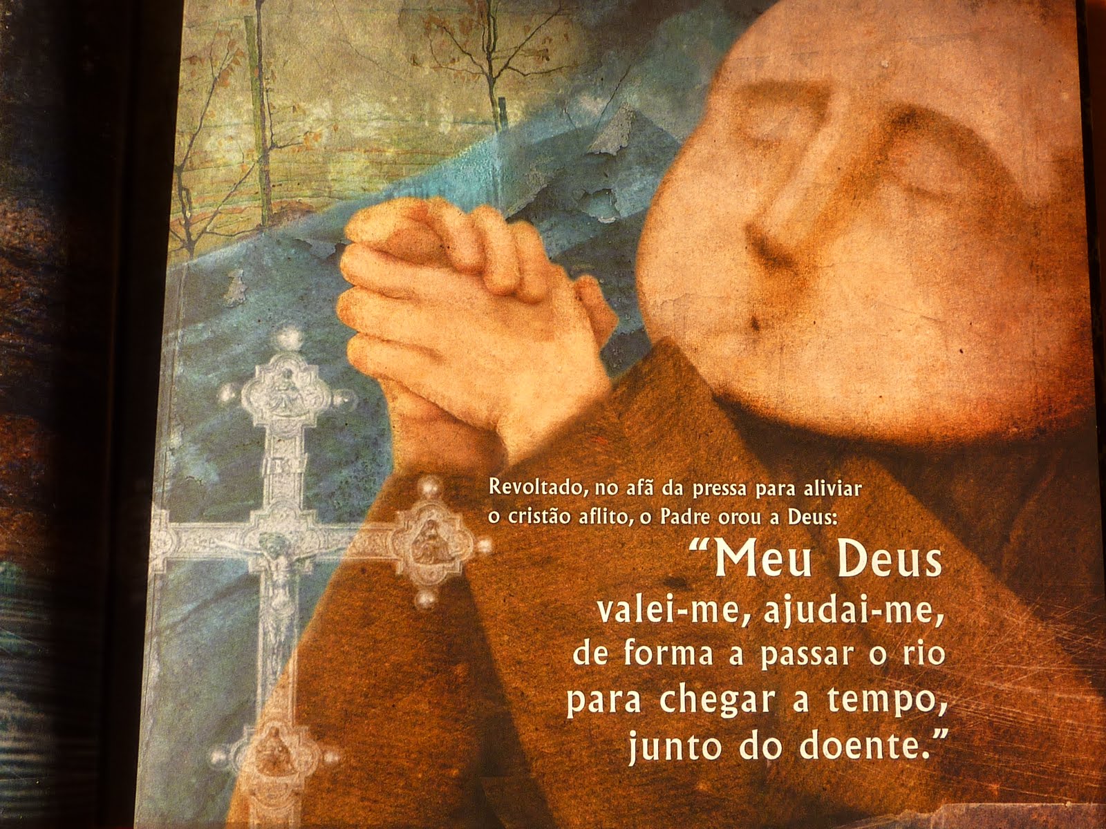 [P1000680.JPG]