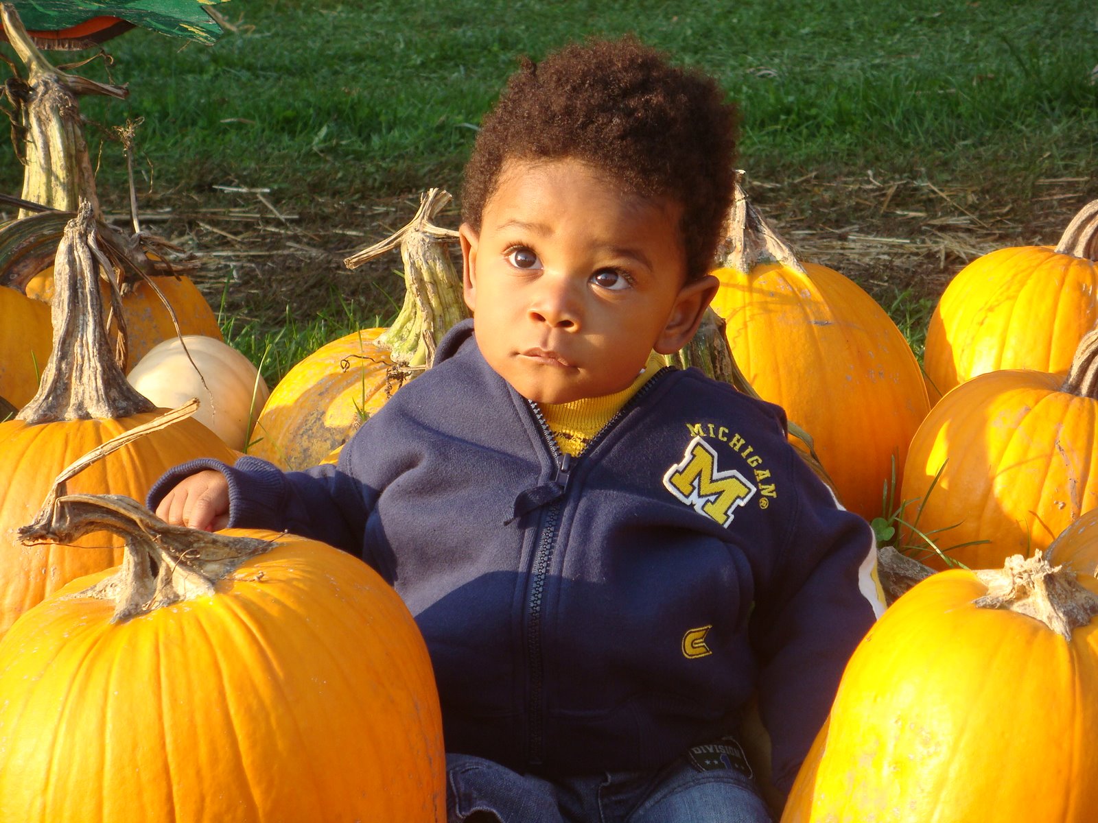 [October+4,+2008+203.JPG]