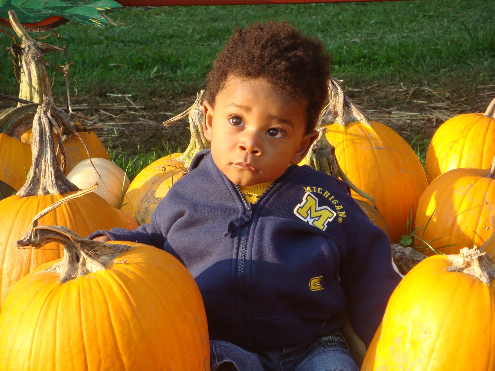 [October+4,+2008+209.JPG]