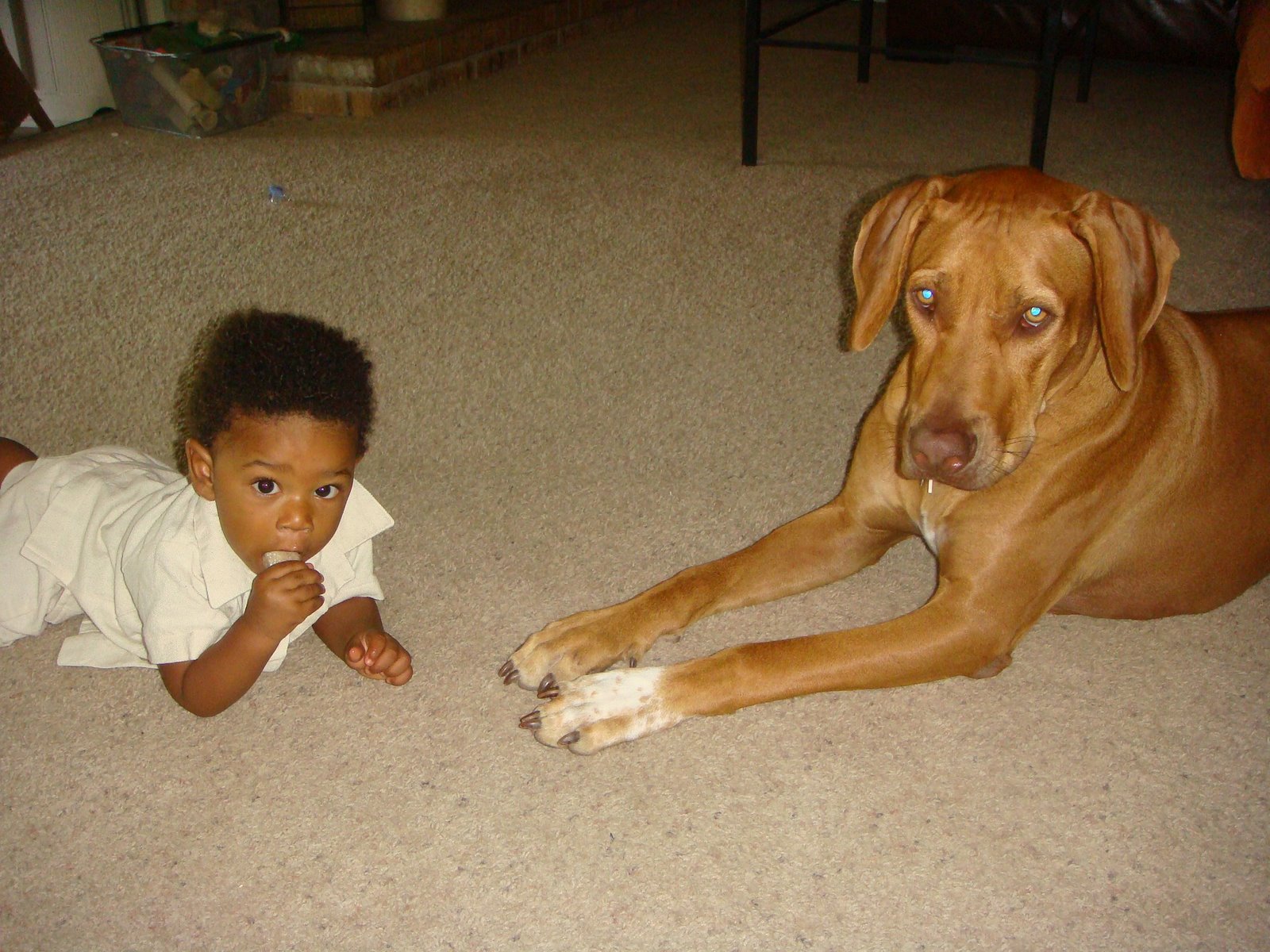 [Julie's+House+003.JPG]