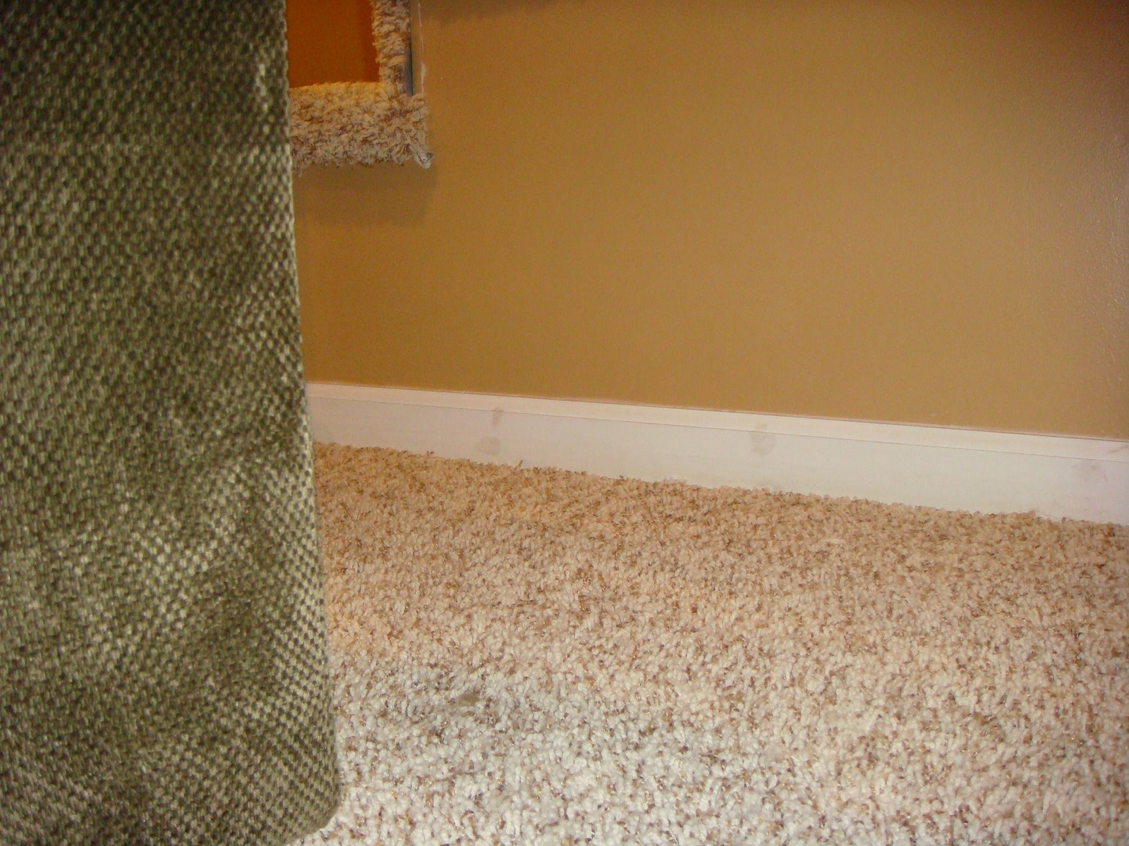 [November+2008+020.JPG]