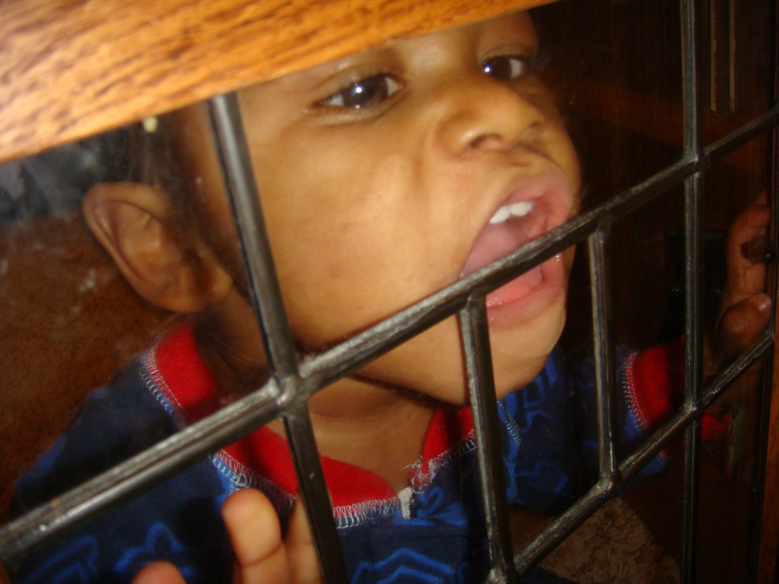 [Christmas+2008+018.JPG]