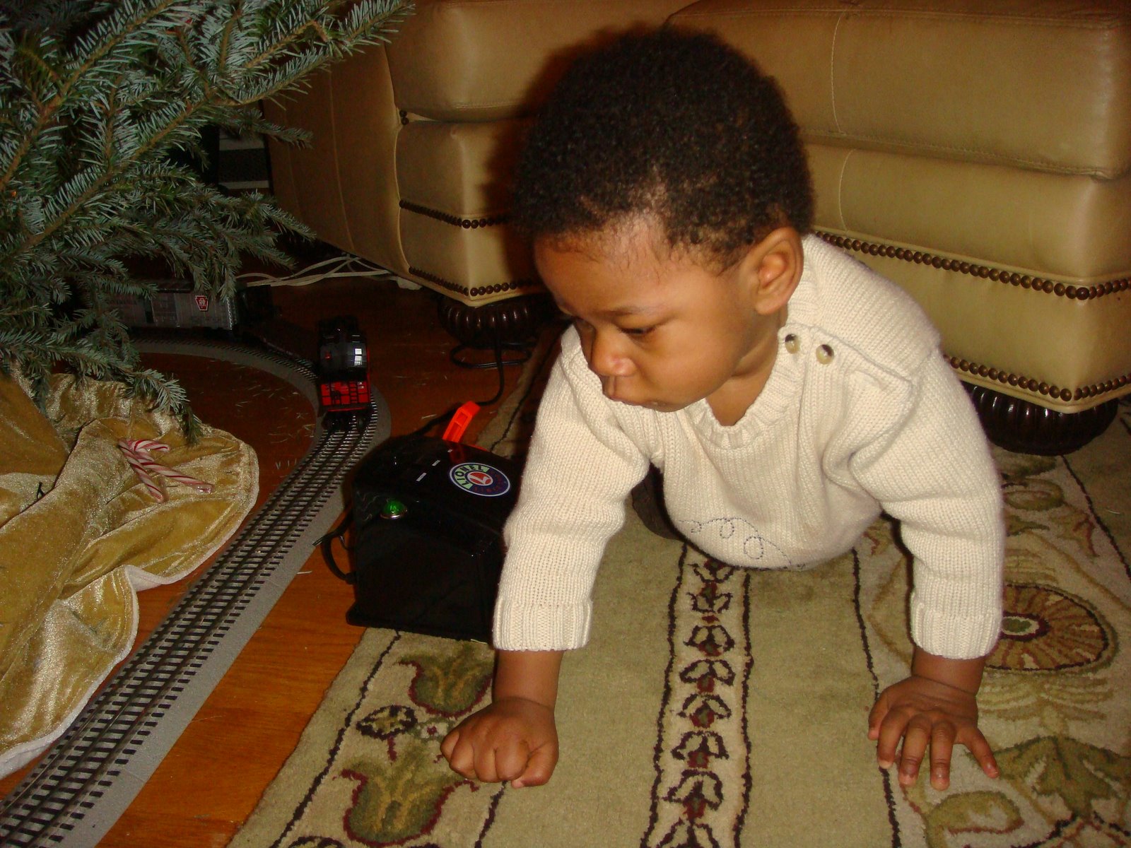 [Christmas+2008+019.JPG]