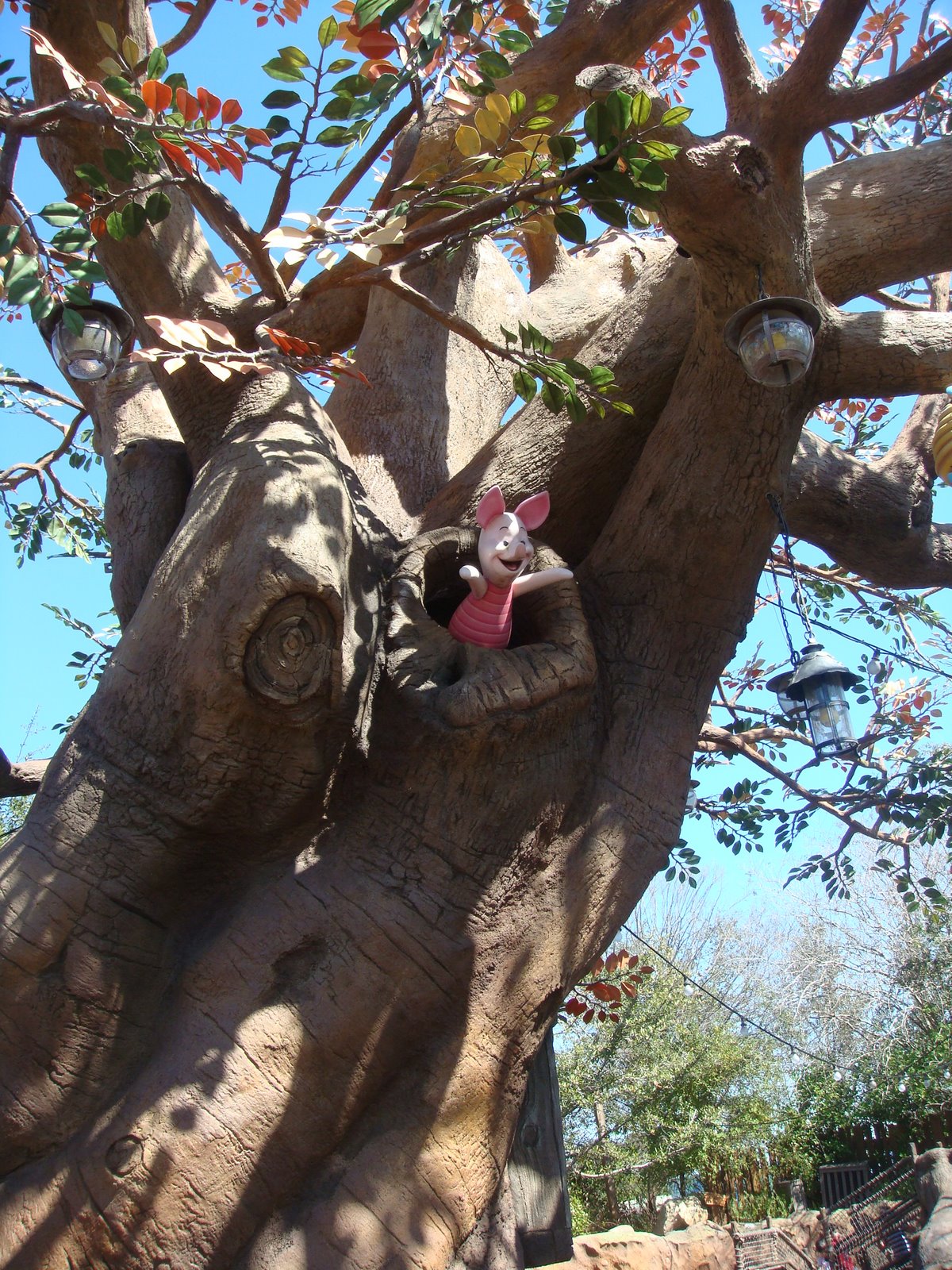 [Florida+2009+039.JPG]