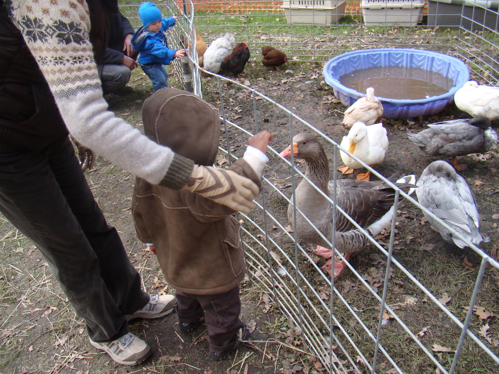 [October+12,+2009+061.JPG]