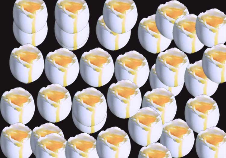 [eggs2.jpg]
