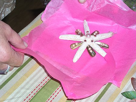 [Starfish+ornamnet.jpg]