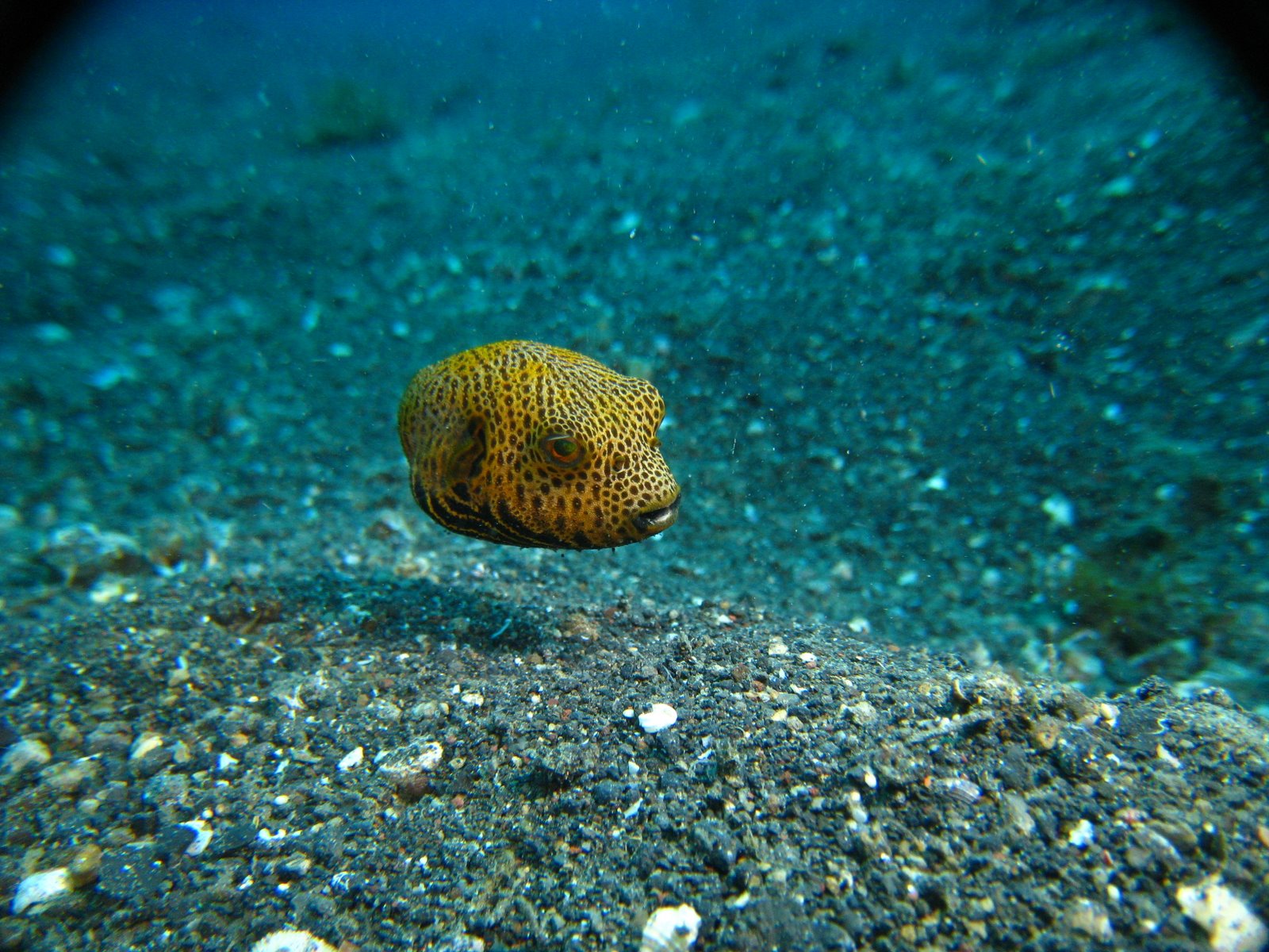 [IMG_2105.JPG]