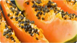 pepaya sumber vitamin C