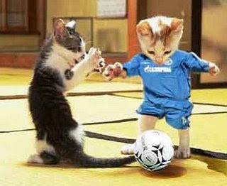 April Birthday Bash Soccer+Cats