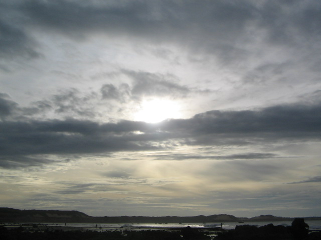 [IMG_0645.JPG]