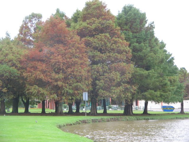 [IMG_6990.JPG]