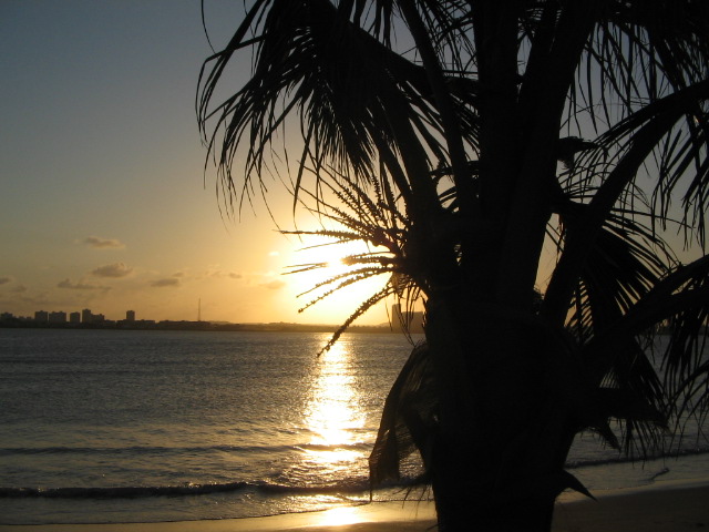 [IMG_5900.JPG]