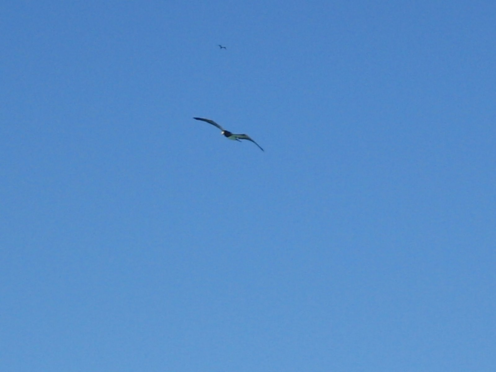 [IMG_7271.JPG]