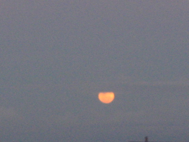 [IMG_0989.JPG]