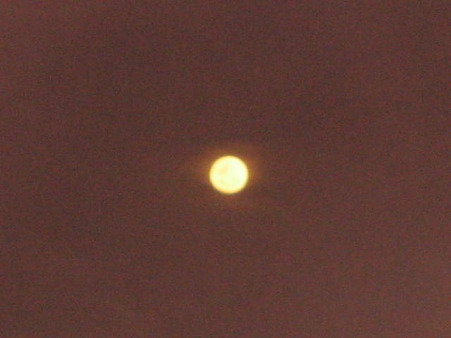 [IMG_0996.JPG]