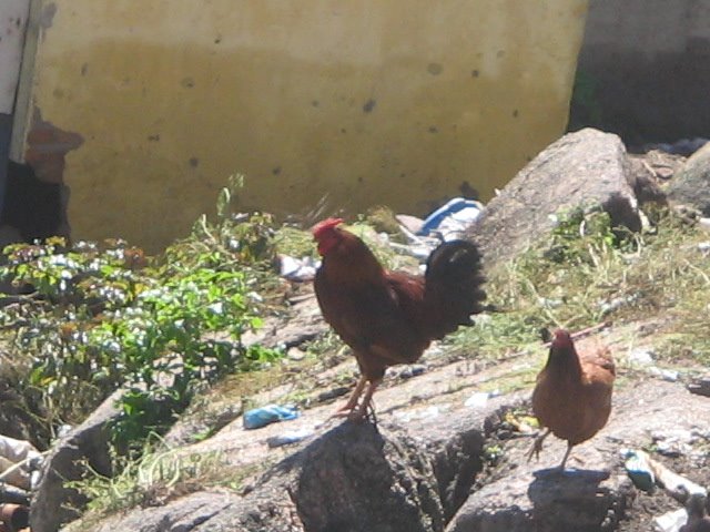 [IMG_0844_2.JPG]