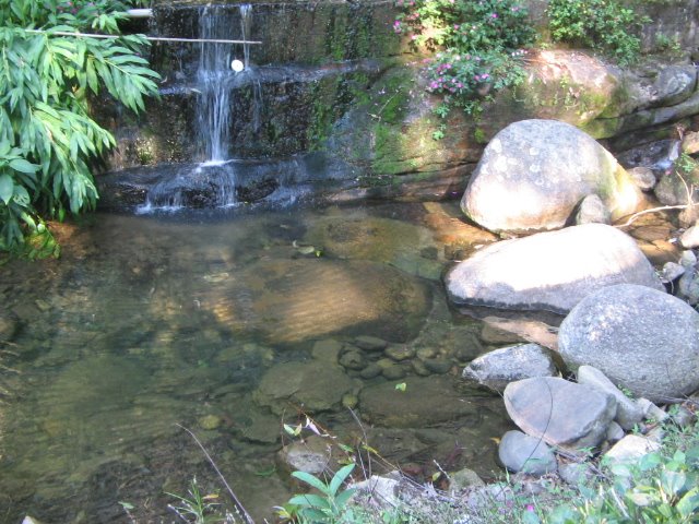 [IMG_1470.JPG]