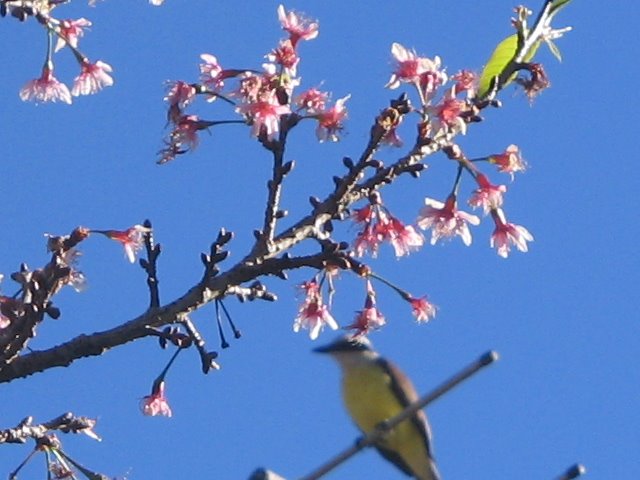 [IMG_1591.JPG]