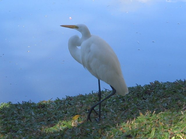 [IMG_1604.JPG]