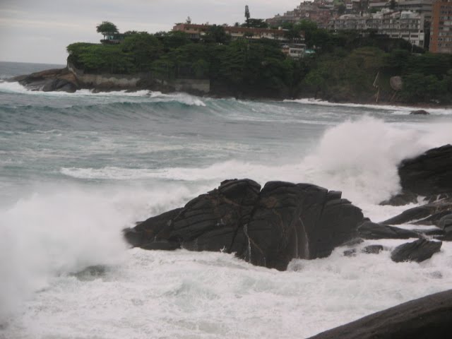 [IMG_4062.JPG]