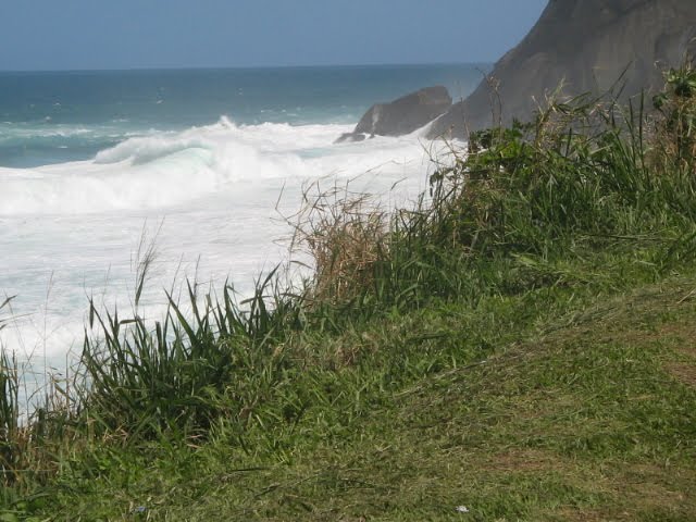 [IMG_4088.JPG]