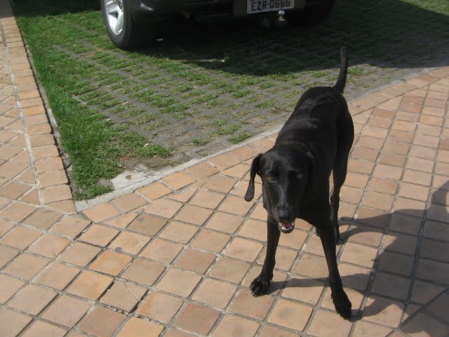 [IMG_3389.JPG]