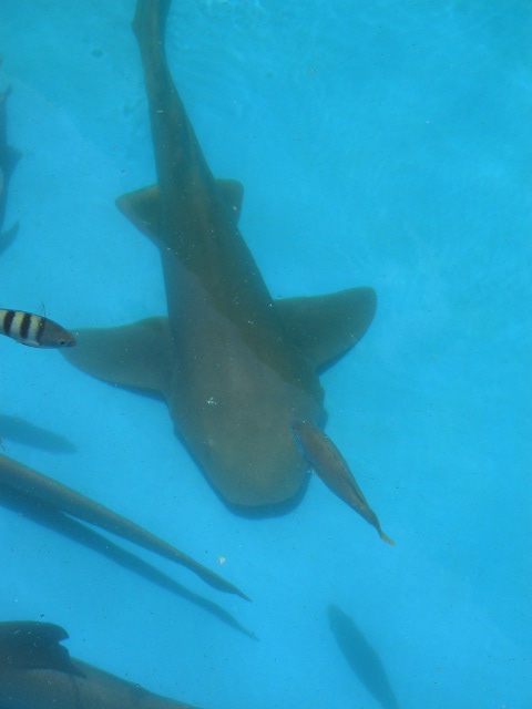 [IMG_5853.JPG]