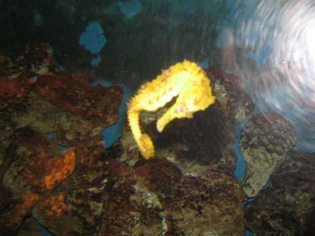 [IMG_5848.JPG]