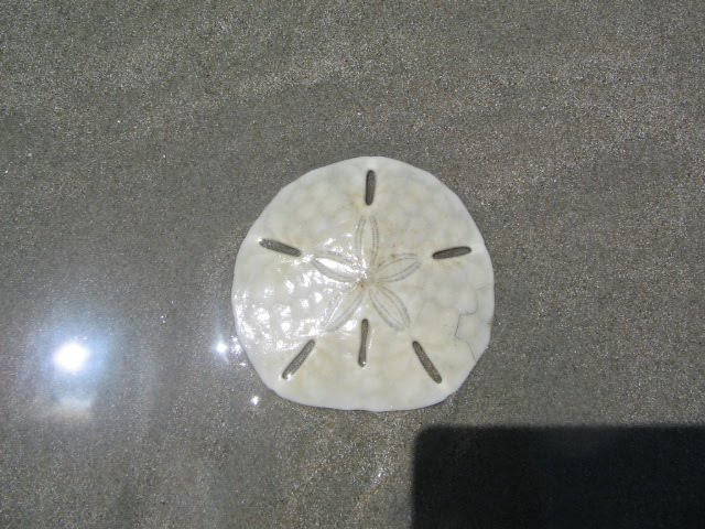[IMG_9580.JPG]