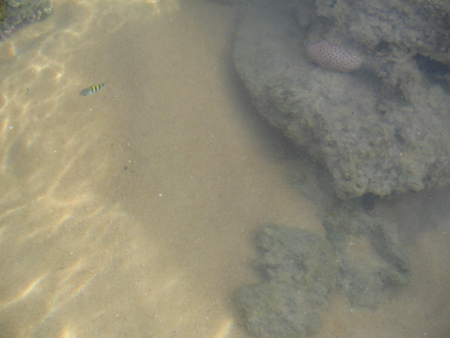 [IMG_0637_2.JPG]