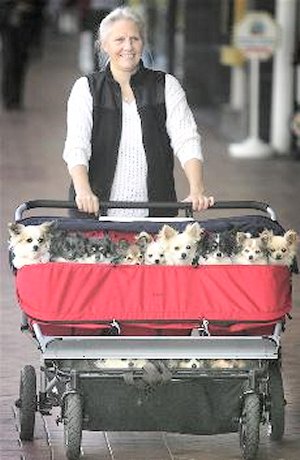 http://4.bp.blogspot.com/_9foKD_MCBBg/SwGpgNogUVI/AAAAAAAAApg/Q6y3E1s0nKo/s1600/MountainBuggy-DoubleUrbanJungle-TwinBassinet.jpg