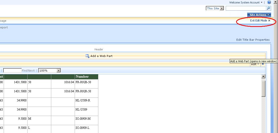 [SSRS+CreateReport_45_ExitDesignMode.JPG]