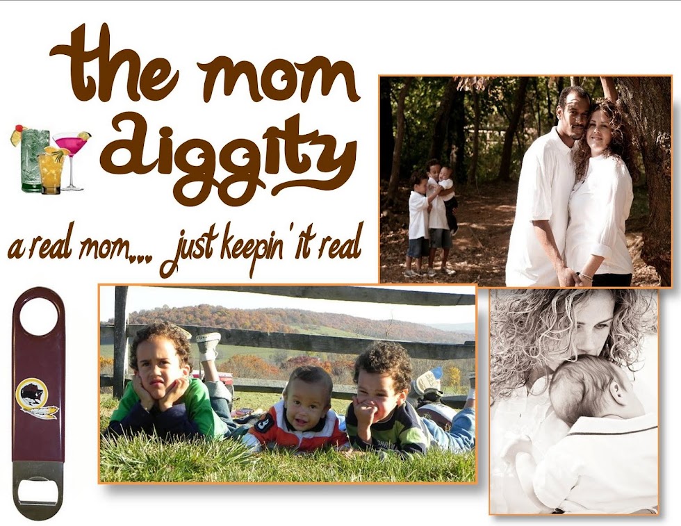 the mom diggity