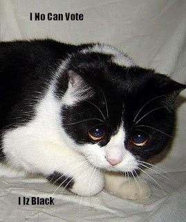 Epic Lolcat