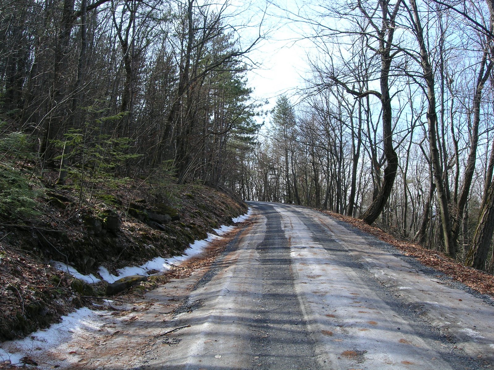 [DSCN0840.JPG]