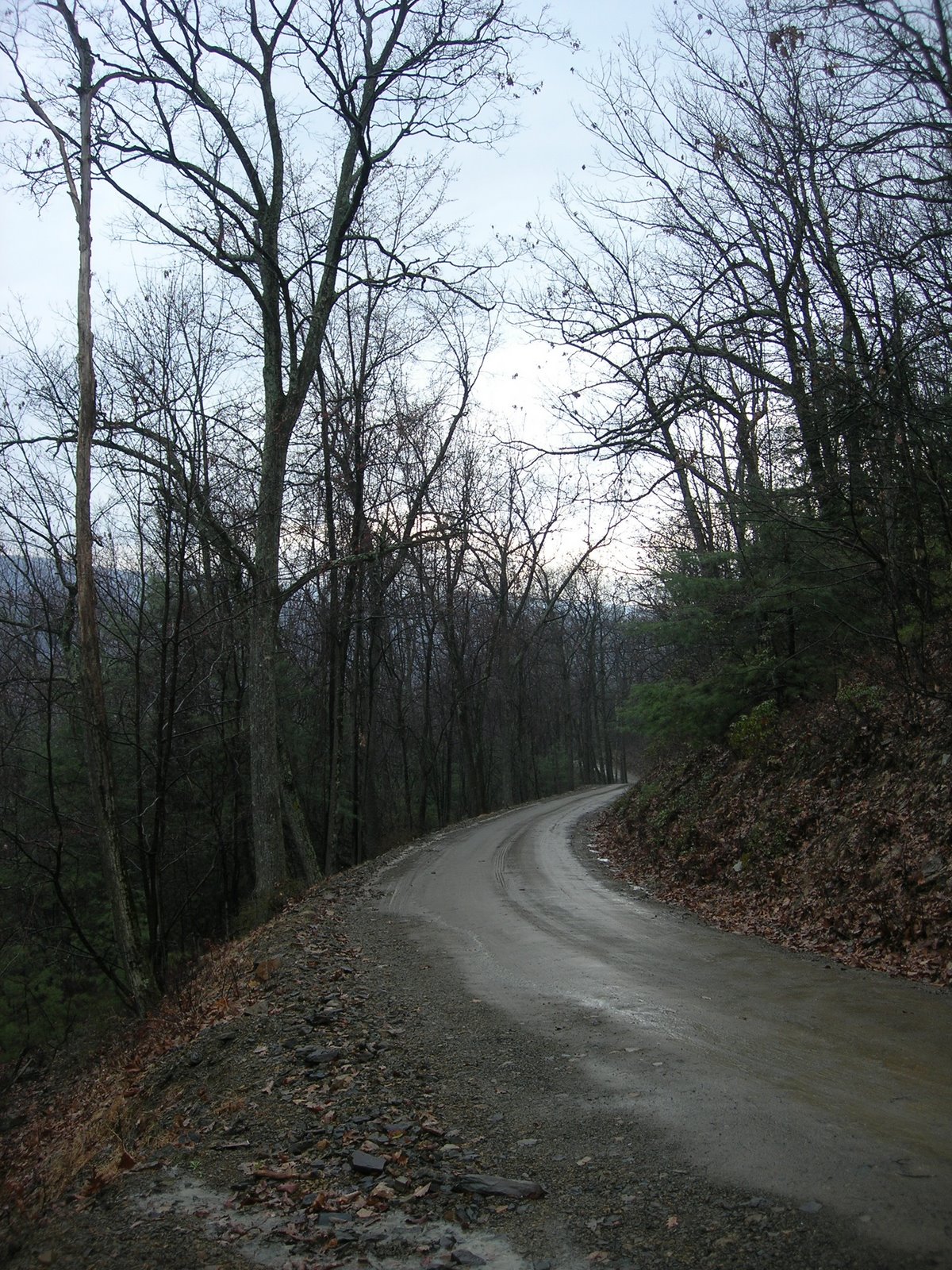 [DSCN0951.JPG]