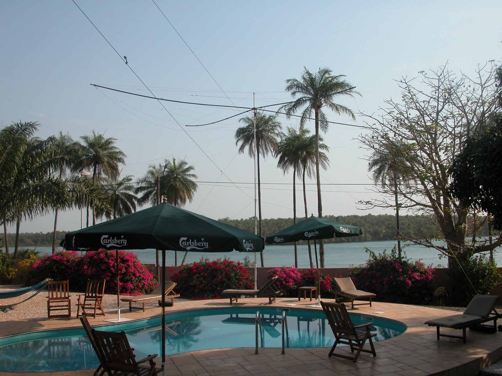 Spiderbeam on the pool