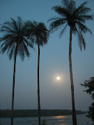 Moonlight in J5