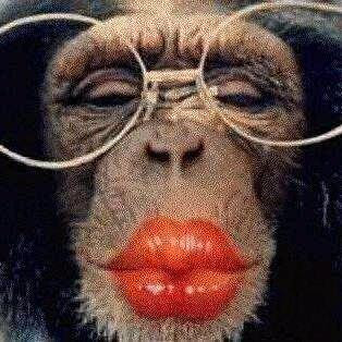 monkey+kiss.jpg