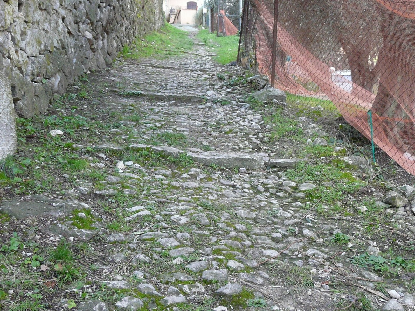 [P1150004.JPG]